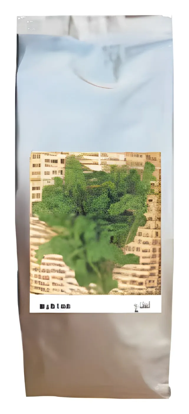 Mentha, catalogue photo