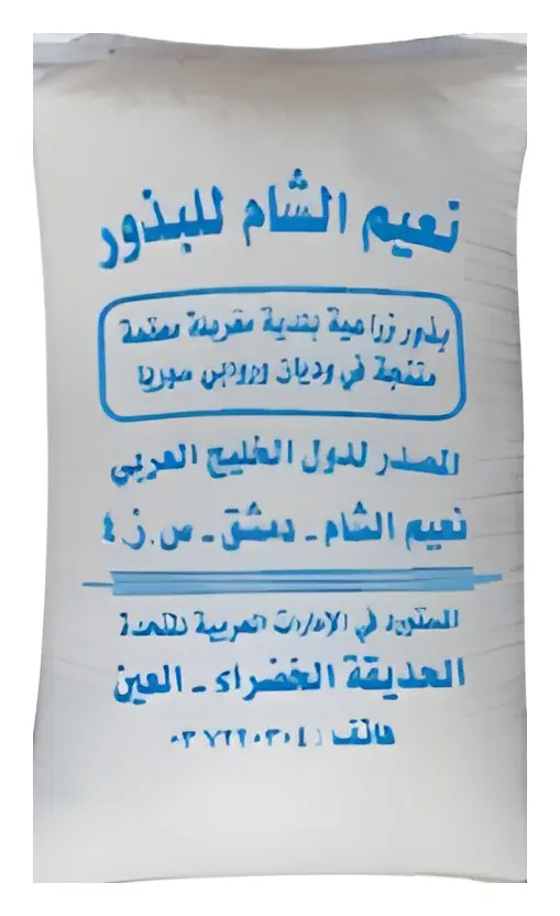 كزبرة سوري، صورة الكتالوج