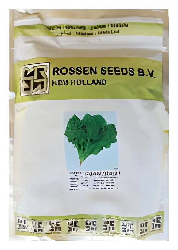 Spinach Holland, catalogue photo