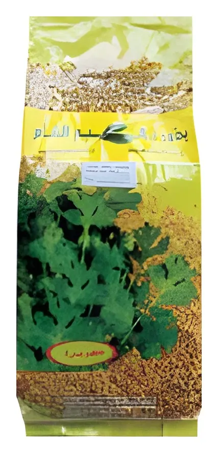 Coriander Al Gouta, catalogue photo
