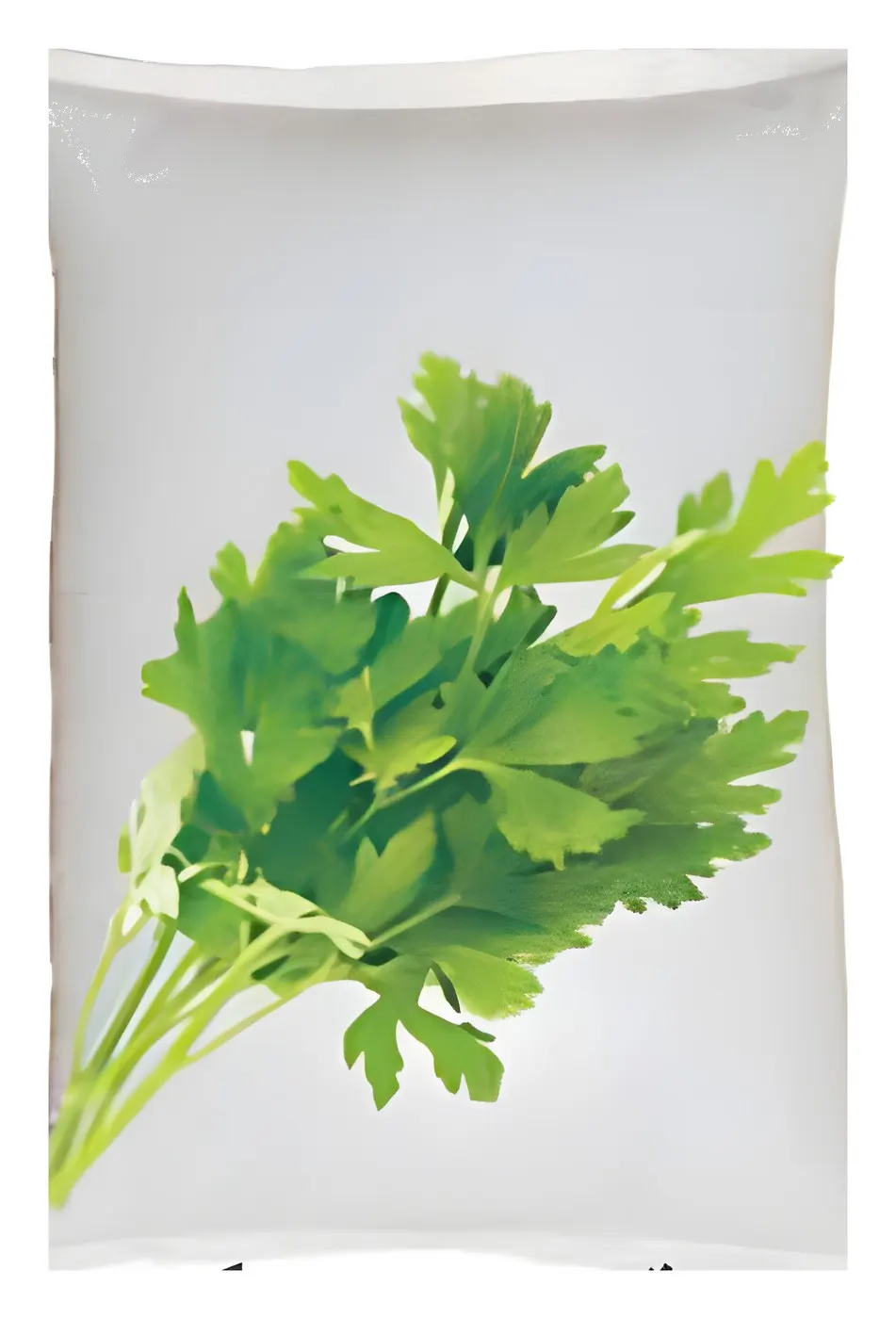 Parsley Turkey, catalogue photo