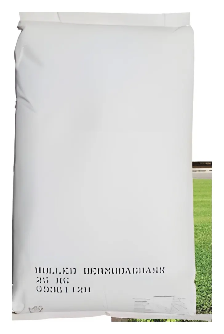 Bermuda Seed American, catalogue photo
