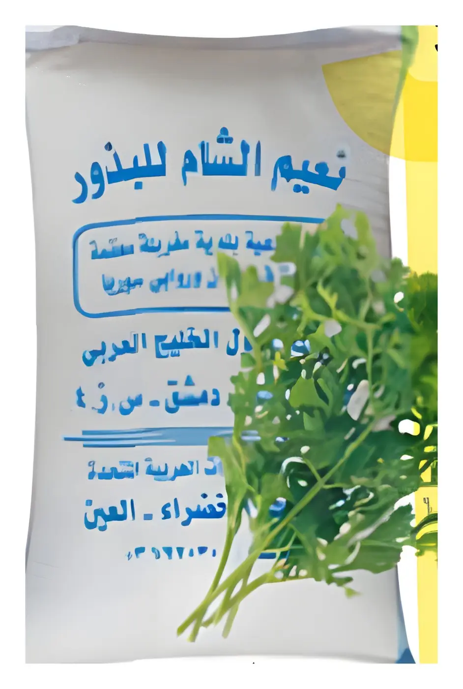رشاد سوري، صورة الكتالوج