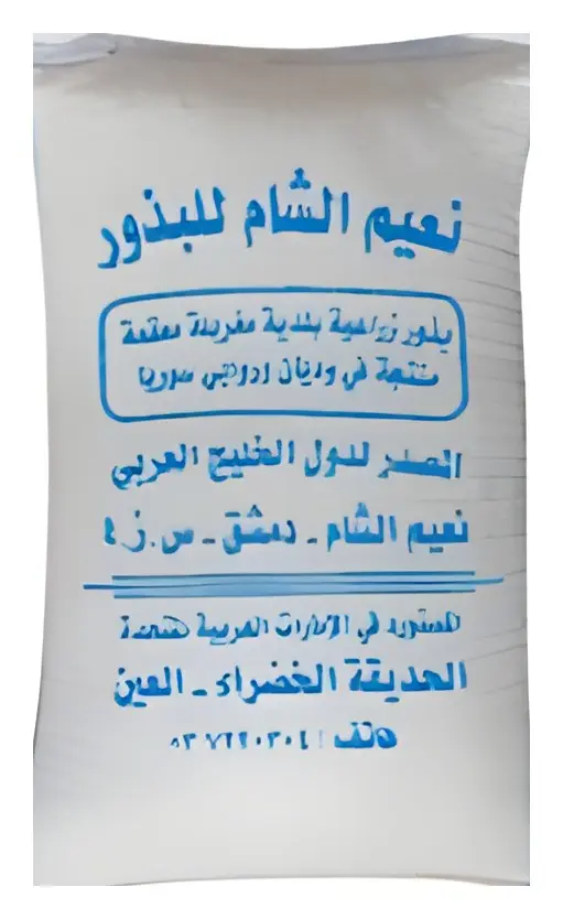 هندباء سوري، صورة الكتالوج